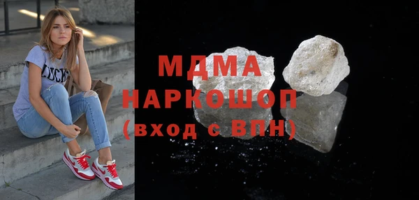 гидра Ельня