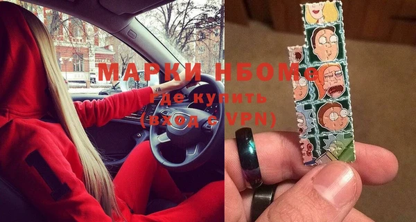 прущие грибы Елизово