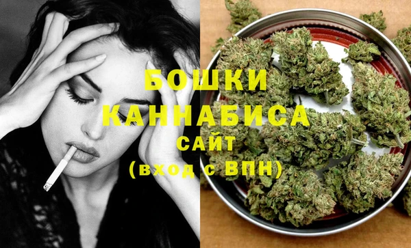 гидра Карпинск