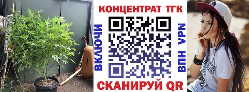 mega   Пролетарск  ТГК Wax 