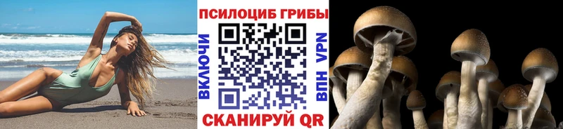 Галлюциногенные грибы MAGIC MUSHROOMS  мориарти как зайти  Пролетарск 